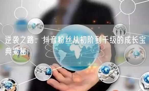 逆袭之路：抖音粉丝从初阶到千级的成长宝典揭秘