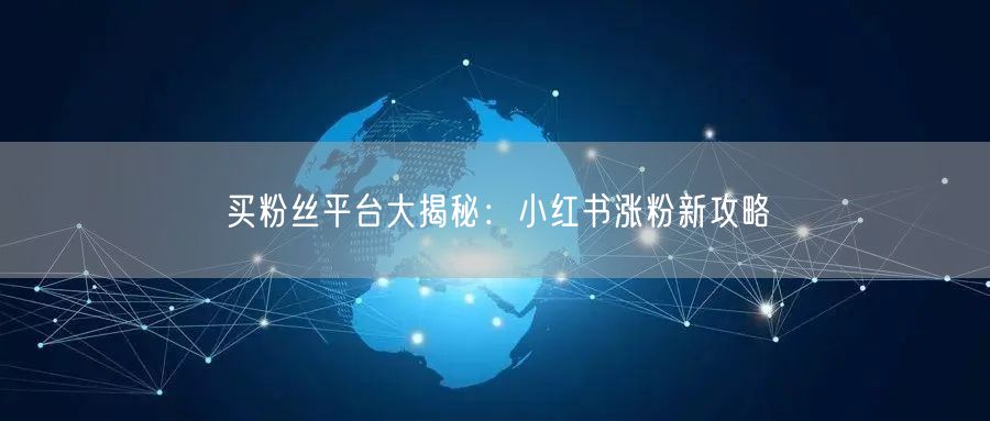 买粉丝平台大揭秘：小红书涨粉新攻略
