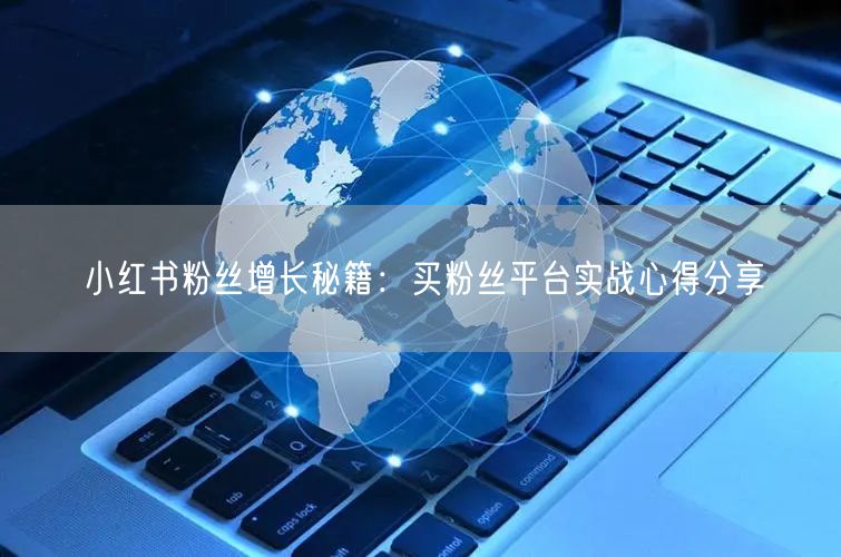 小红书粉丝增长秘籍：买粉丝平台实战心得分享