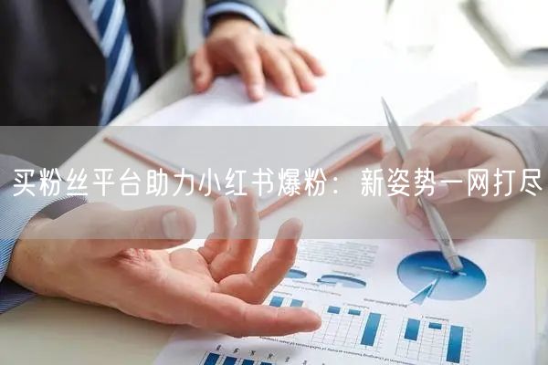 买粉丝平台助力小红书爆粉：新姿势一网打尽