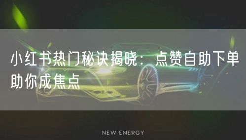 小红书热门秘诀揭晓：点赞自助下单助你成焦点