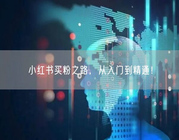 小红书买粉之路，从入门到精通！