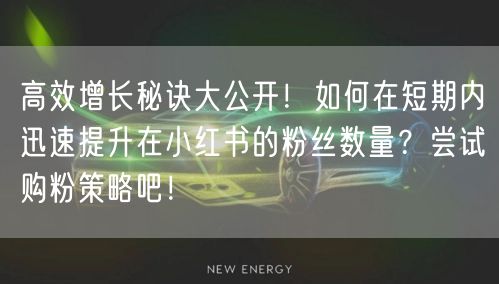 高效增长秘诀大公开！如何在短期内迅速提升在小红书的粉丝数量？尝试购粉策略吧！