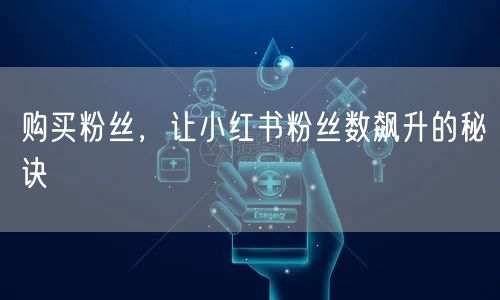 购买粉丝，让小红书粉丝数飙升的秘诀