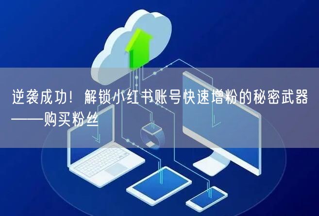 逆袭成功！解锁小红书账号快速增粉的秘密武器——购买粉丝