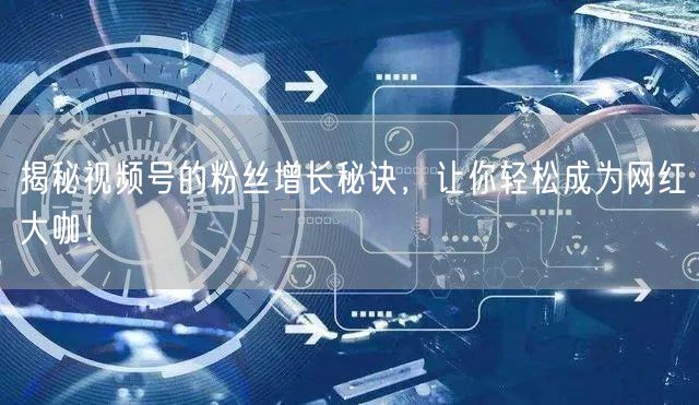 揭秘视频号的粉丝增长秘诀，让你轻松成为网红大咖！