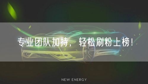 专业团队加持，轻松刷粉上榜！