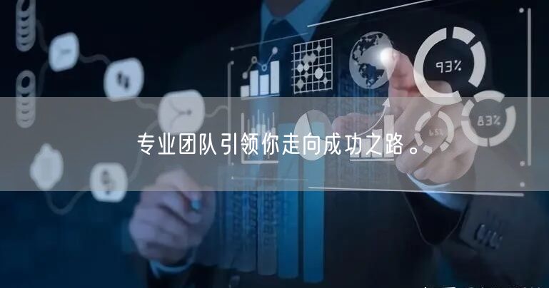 专业团队引领你走向成功之路。