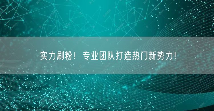 实力刷粉！专业团队打造热门新势力！
