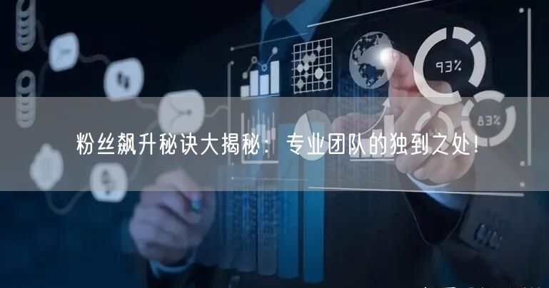 粉丝飙升秘诀大揭秘：专业团队的独到之处！
