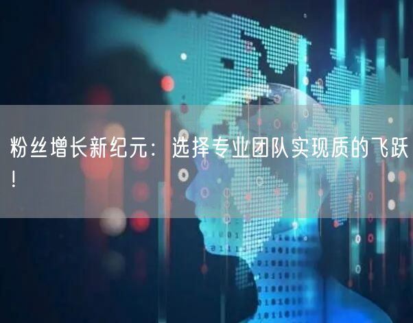 粉丝增长新纪元：选择专业团队实现质的飞跃！