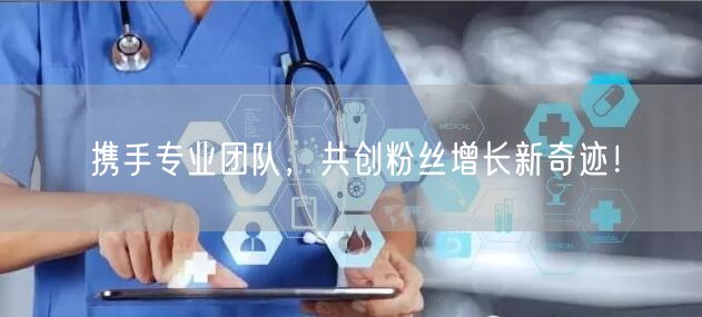 携手专业团队，共创粉丝增长新奇迹！