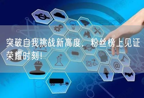突破自我挑战新高度，粉丝榜上见证荣耀时刻！