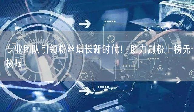 专业团队引领粉丝增长新时代！助力刷粉上榜无极限！