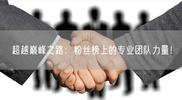 超越巅峰之路：粉丝榜上的专业团队力量！