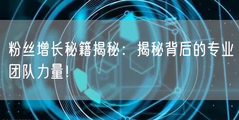 粉丝增长秘籍揭秘：揭秘背后的专业团队力量！