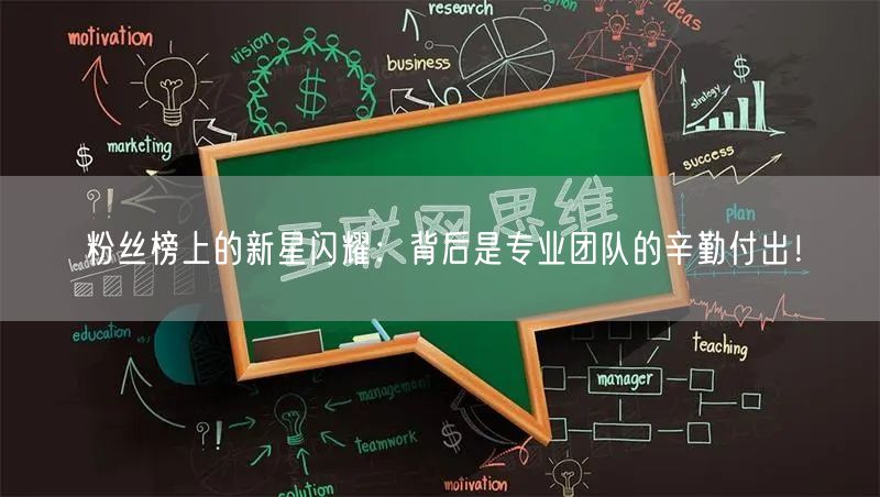 粉丝榜上的新星闪耀：背后是专业团队的辛勤付出！