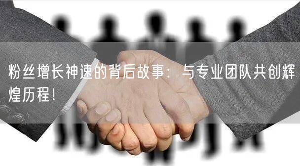 粉丝增长神速的背后故事：与专业团队共创辉煌历程！