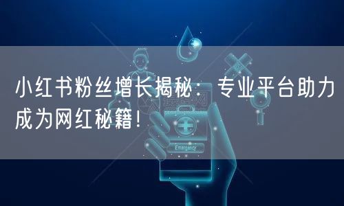 小红书粉丝增长揭秘：专业平台助力成为网红秘籍！