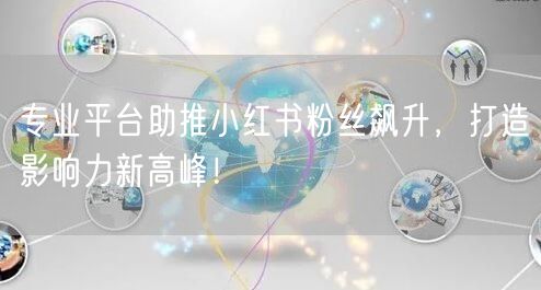 专业平台助推小红书粉丝飙升，打造影响力新高峰！