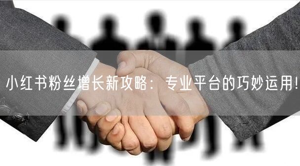 小红书粉丝增长新攻略：专业平台的巧妙运用！