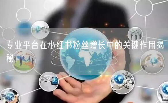 专业平台在小红书粉丝增长中的关键作用揭秘！