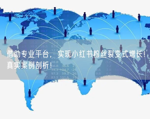 借助专业平台，实现小红书粉丝裂变式增长！真实案例剖析！