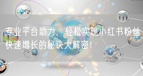专业平台助力，轻松实现小红书粉丝快速增长的秘诀大解密！