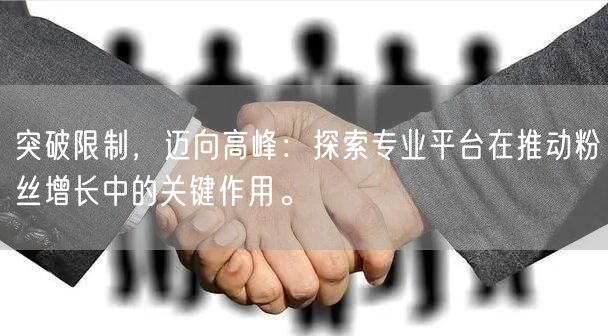 突破限制，迈向高峰：探索专业平台在推动粉丝增长中的关键作用。