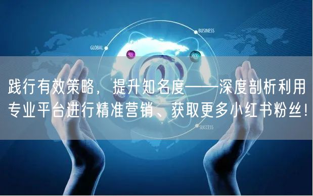 践行有效策略，提升知名度——深度剖析利用专业平台进行精准营销、获取更多小红书粉丝