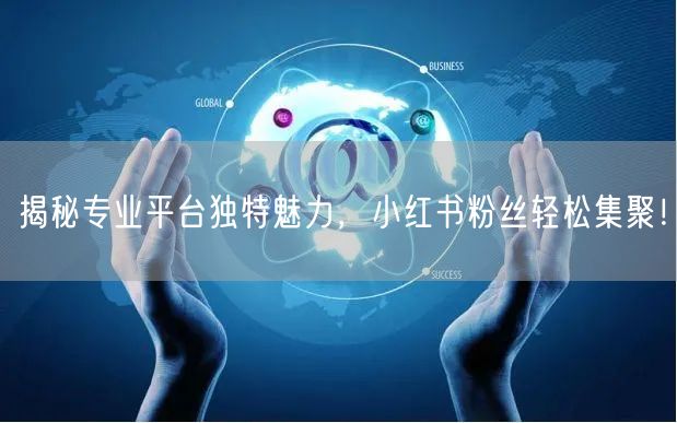 揭秘专业平台独特魅力，小红书粉丝轻松集聚！