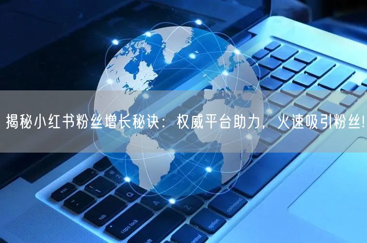 揭秘小红书粉丝增长秘诀：权威平台助力，火速吸引粉丝!