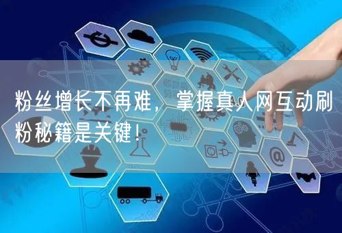 粉丝增长不再难，掌握真人网互动刷粉秘籍是关键！