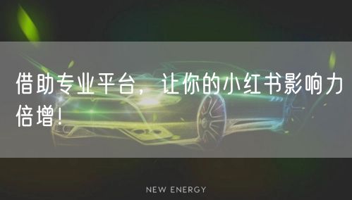 借助专业平台，让你的小红书影响力倍增！