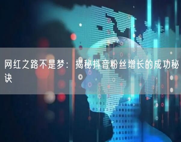 网红之路不是梦：揭秘抖音粉丝增长的成功秘诀
