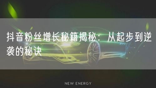抖音粉丝增长秘籍揭秘：从起步到逆袭的秘诀