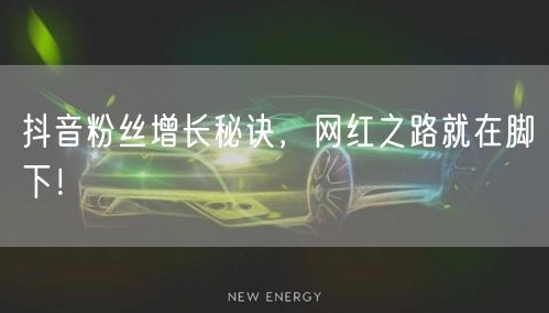 抖音粉丝增长秘诀，网红之路就在脚下！