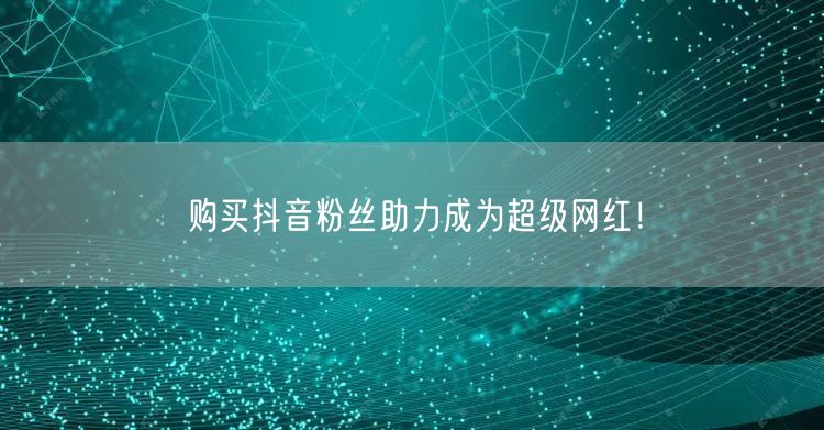 购买抖音粉丝助力成为超级网红！