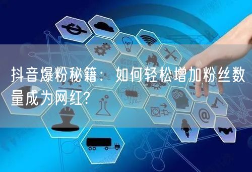 抖音爆粉秘籍：如何轻松增加粉丝数量成为网红?
