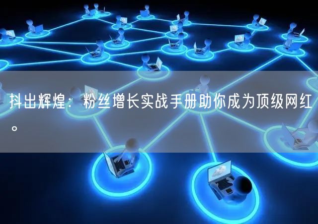 抖出辉煌：粉丝增长实战手册助你成为顶级网红。