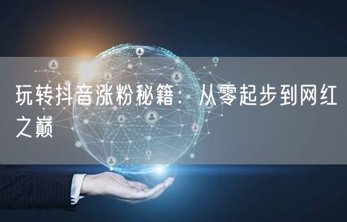 玩转抖音涨粉秘籍：从零起步到网红之巅