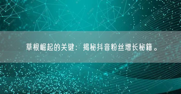 草根崛起的关键：揭秘抖音粉丝增长秘籍。