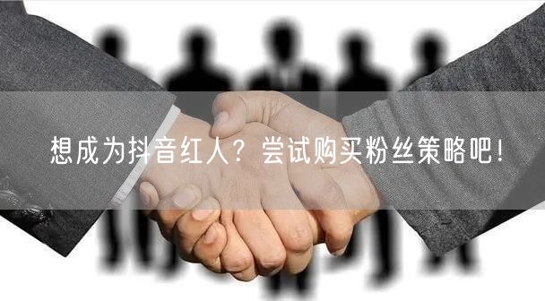 想成为抖音红人？尝试购买粉丝策略吧！