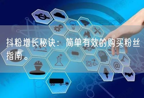 抖粉增长秘诀：简单有效的购买粉丝指南。