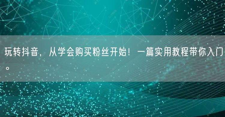 玩转抖音，从学会购买粉丝开始！一篇实用教程带你入门。