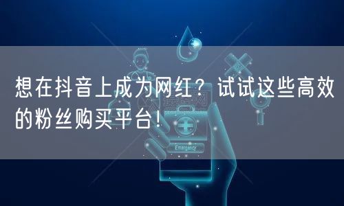 想在抖音上成为网红？试试这些高效的粉丝购买平台！