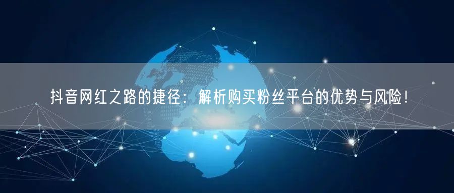 抖音网红之路的捷径：解析购买粉丝平台的优势与风险！