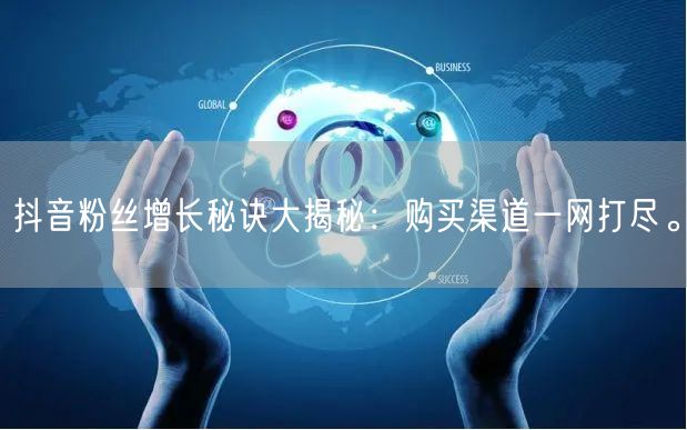 抖音粉丝增长秘诀大揭秘：购买渠道一网打尽。