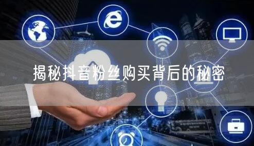 揭秘抖音粉丝购买背后的秘密