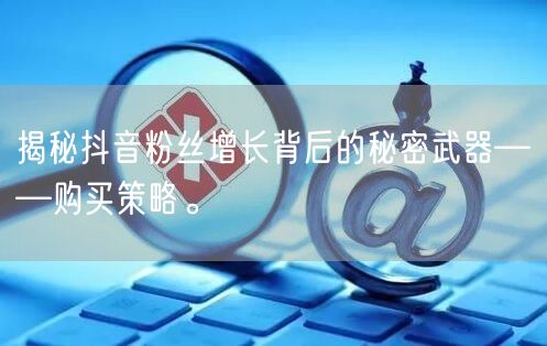 揭秘抖音粉丝增长背后的秘密武器——购买策略。